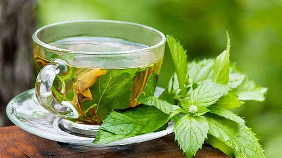 4 فوائد لشرب الشاي الأخضر على معدة فارغة.. لا تتجاهلوها