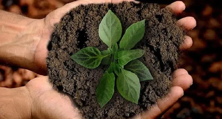 ريف يوفر 95 ألف فرصة وظيفية عبر مشاريعه ريف يوفر 95 ألف فرصة وظيفية عبر مشاريعه