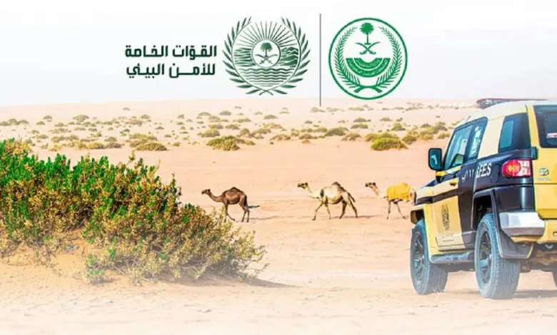 «الأمن البيئي» تكشف عن عقوبات الصيد من دون ترخيص «الأمن البيئي» تكشف عن عقوبات الصيد من دون ترخيص