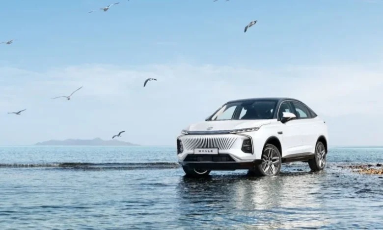 ام جي الحوت 2024: كل ما تريد معرفته عن المواصفات السعودية والأسعار