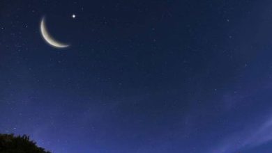 الديوان الملكي: غدًا المتمم لشهر رمضان.. والأربعاء أول أيام عيد الفطر