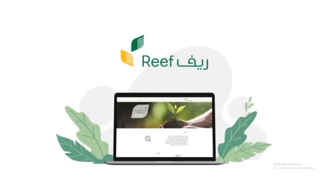 برنامج ريف يوضح مدة دراسة الطلب للمستفيدين الجدد