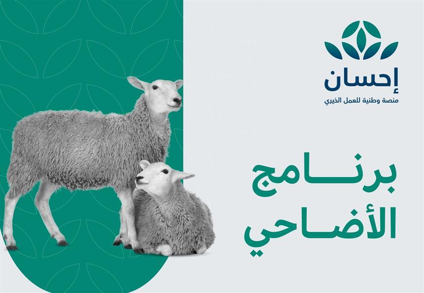 مقارنة بين أسعار أضاحي العيد في الأسواق الكبرى