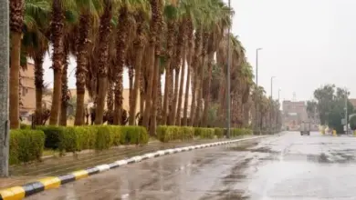 أمطار غزيرة وسيول وبرد ورياح نشطة على 6 مناطق