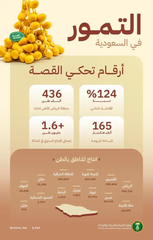 الاكتفاء الذاتي 126%.. إنتاج السعودية من التمور يتجاوز 1.6 مليون طن