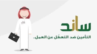 5 حالات لاستحقاق دعم ساند.. الشروط وطريقة التحقق من الأهلية