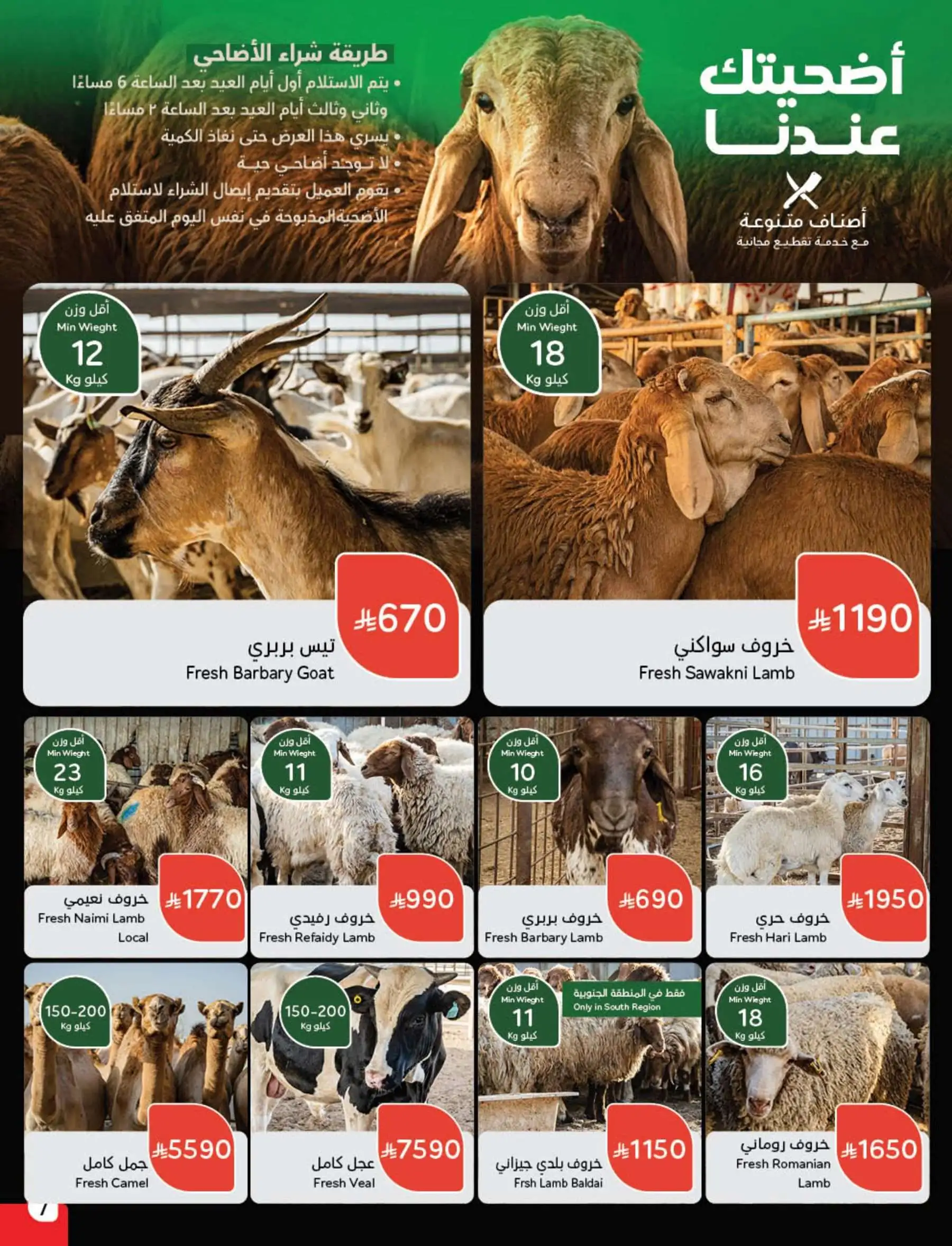 عروض أسواق بندة الأسبوعية