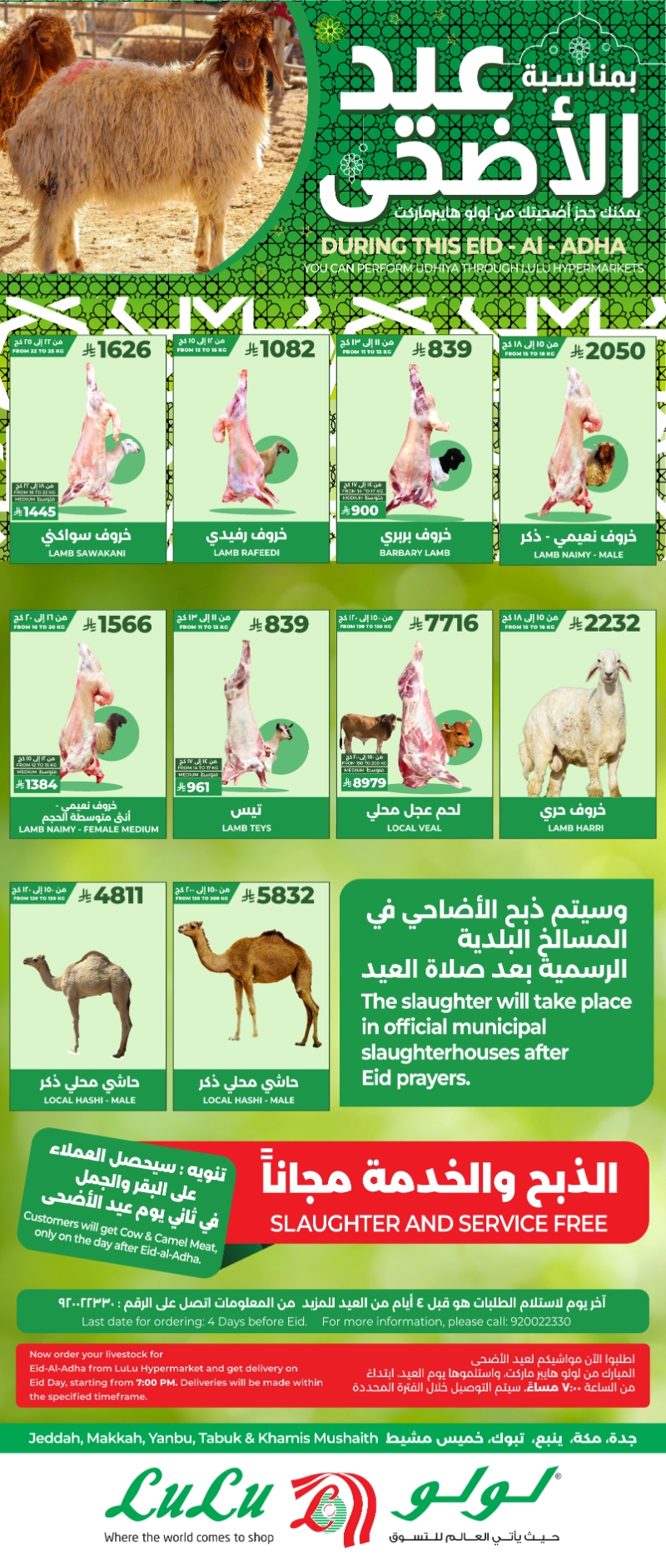 مقارنة بين أسعار أضاحي العيد في الأسواق الكبرى