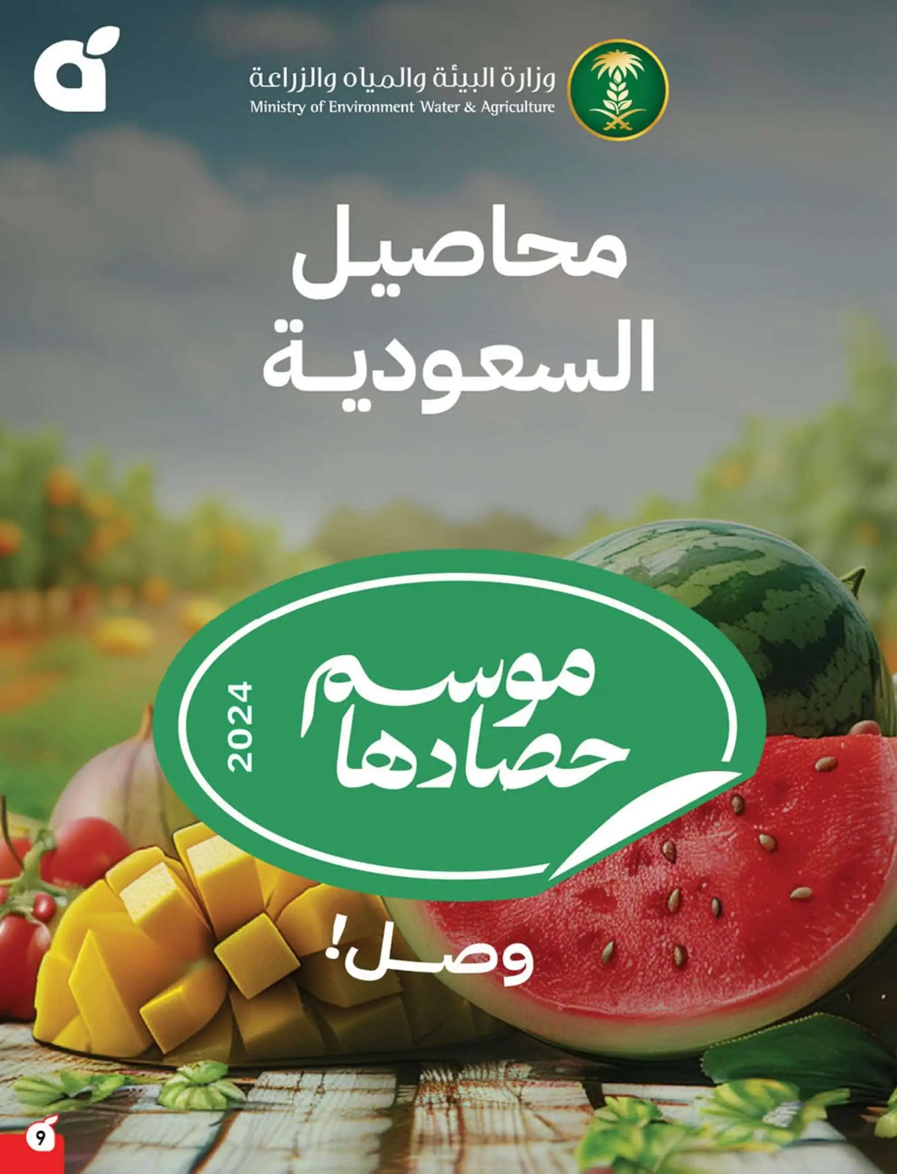 عروض أسواق بندة الأسبوعية