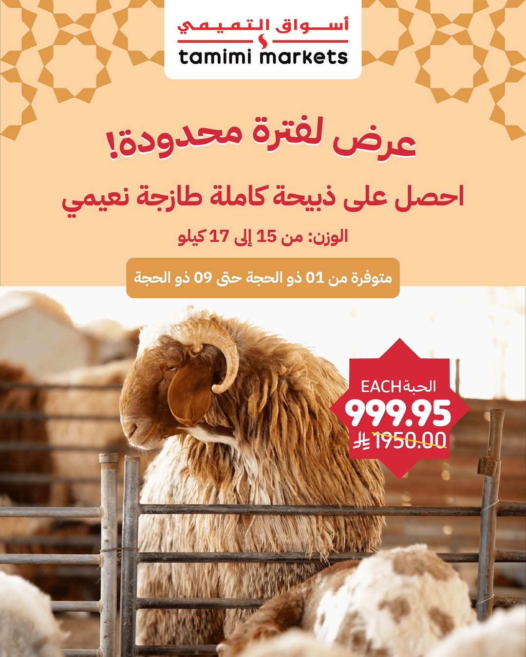 مقارنة بين أسعار أضاحي العيد في الأسواق الكبرى