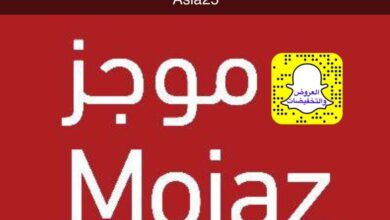 عرض موجز