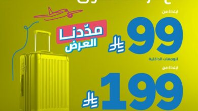 عرض طيران أديل