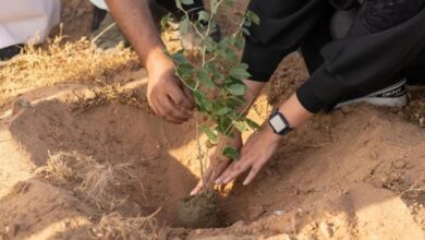 زراعة 20 مليون شجرة في منطقة الرياض