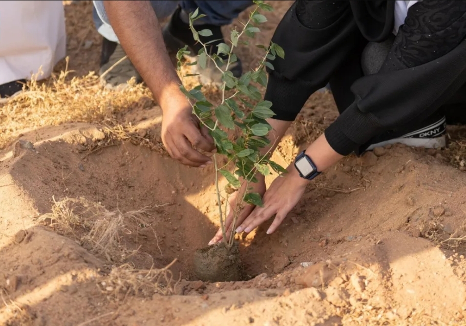 زراعة 20 مليون شجرة في منطقة الرياض زراعة 20 مليون شجرة في منطقة الرياض