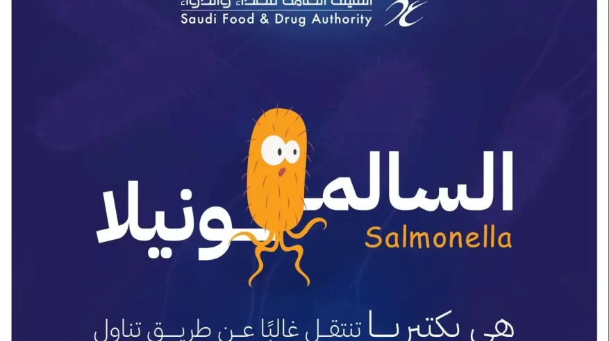 3 أنواع من البكتيريا تهدد سلامة الغذاء 3 أنواع من البكتيريا تهدد سلامة الغذاء