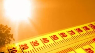 ارتفاع درجات الحرارة بدءًا من اليوم.. تصل إلى 46 مئوية