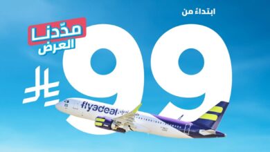 عرض طيران أديل