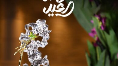 عرض لابوشيه للحلويات
