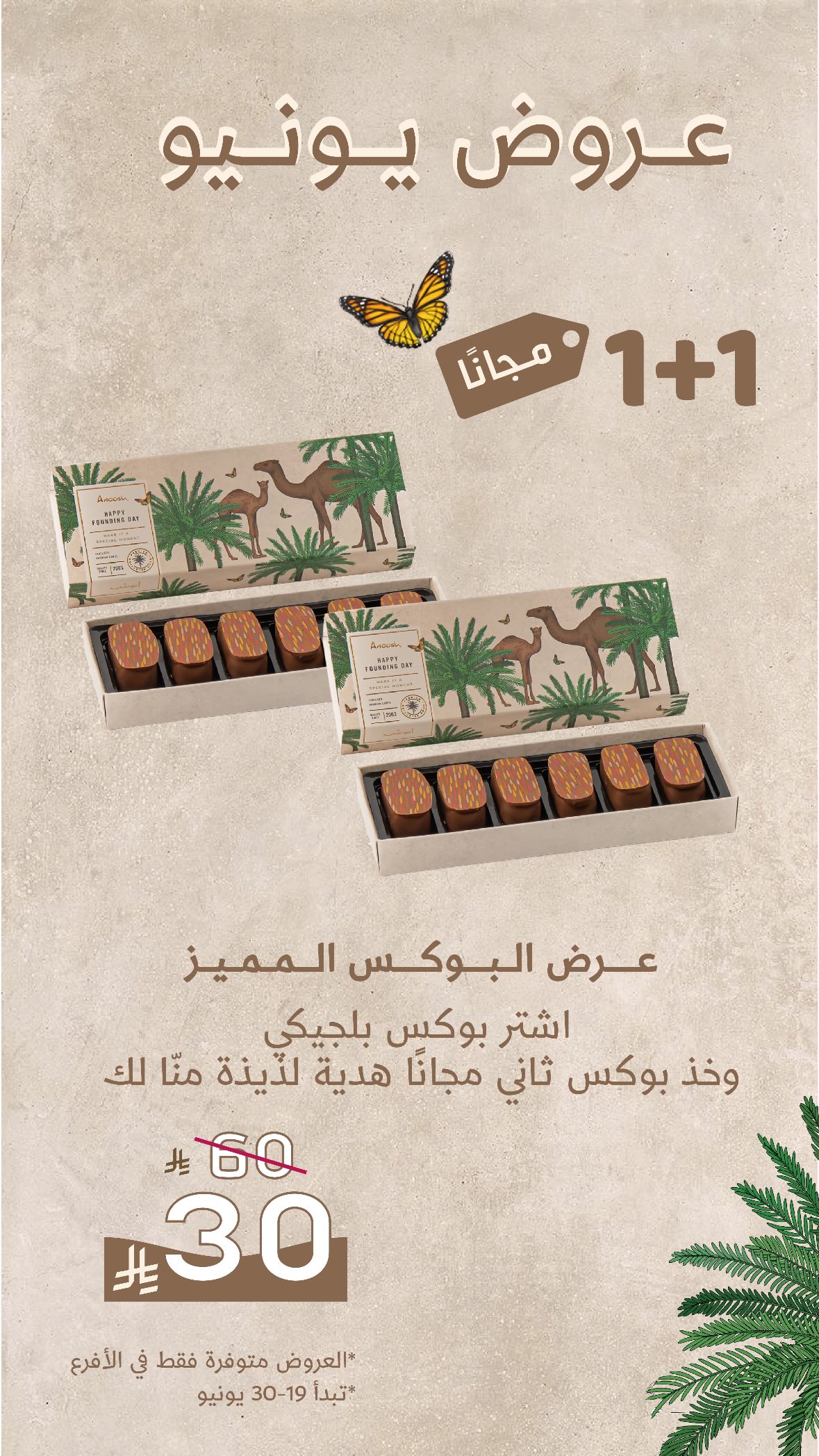عرض أنوش للحلويات عرض أنوش للحلويات