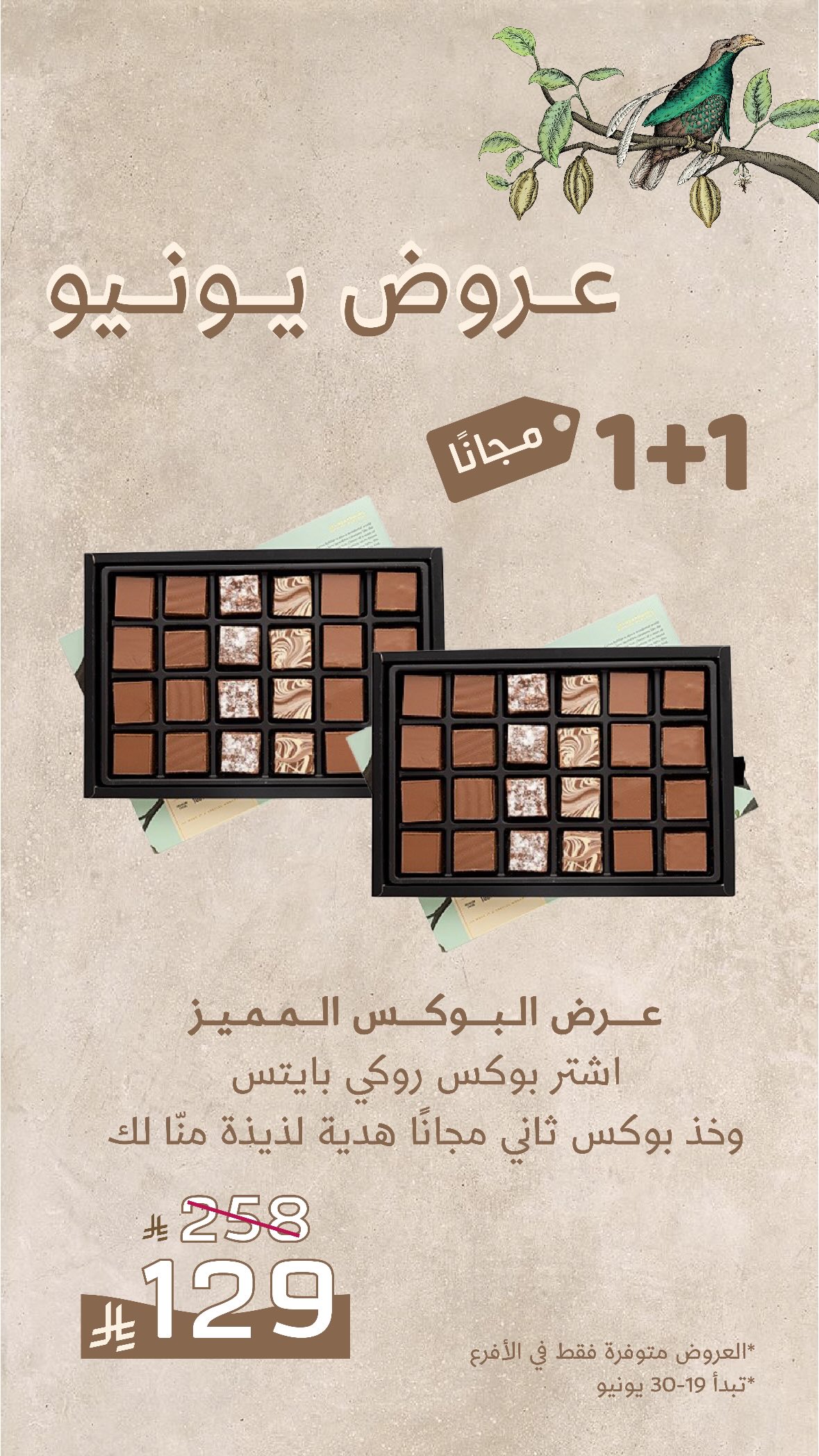 عرض أنوش للحلويات