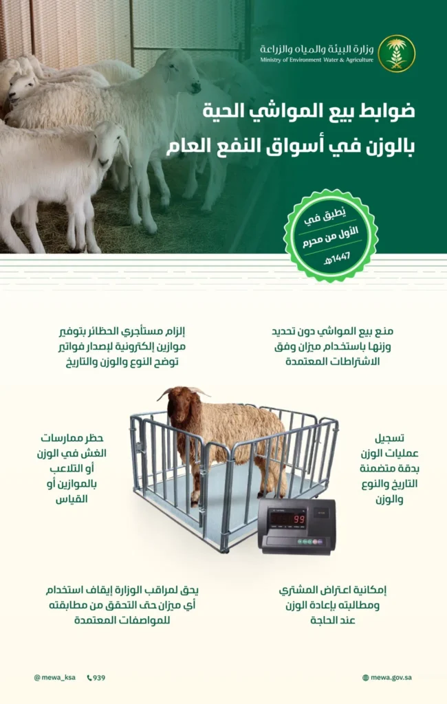 بدء تطبيق ضوابط بيع المواشي الحية بالوزن في أسواق النفع العام الخميس المقبل
