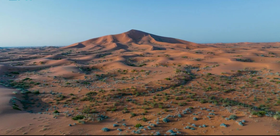 تحديث آلية التنزه في منطقتي الصمان والدهناء بمحمية المؤسس تحديث آلية التنزه في منطقتي الصمان والدهناء بمحمية المؤسس
