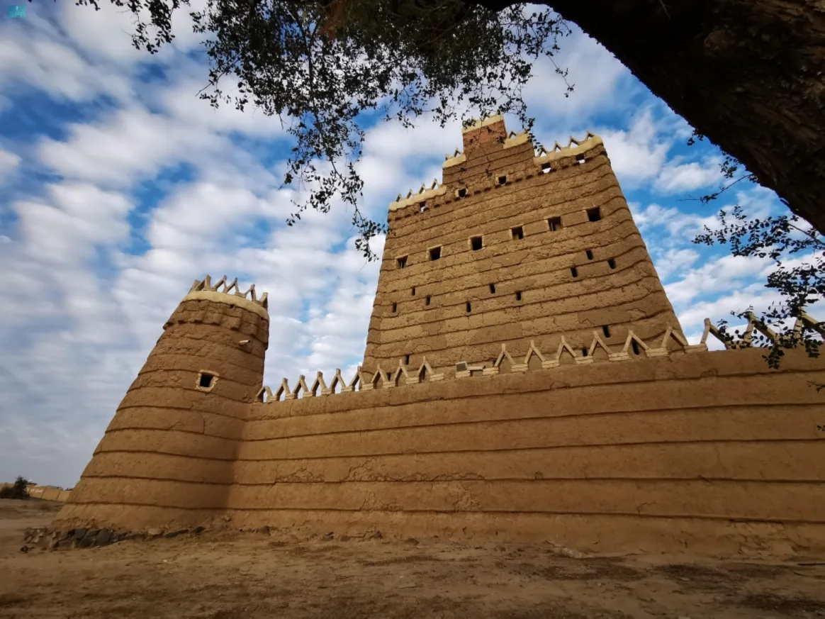 إطلاق حملة "عادت" لرفع الوعي بأهمية الآثار الوطنية إطلاق حملة "عادت" لرفع الوعي بأهمية الآثار الوطنية