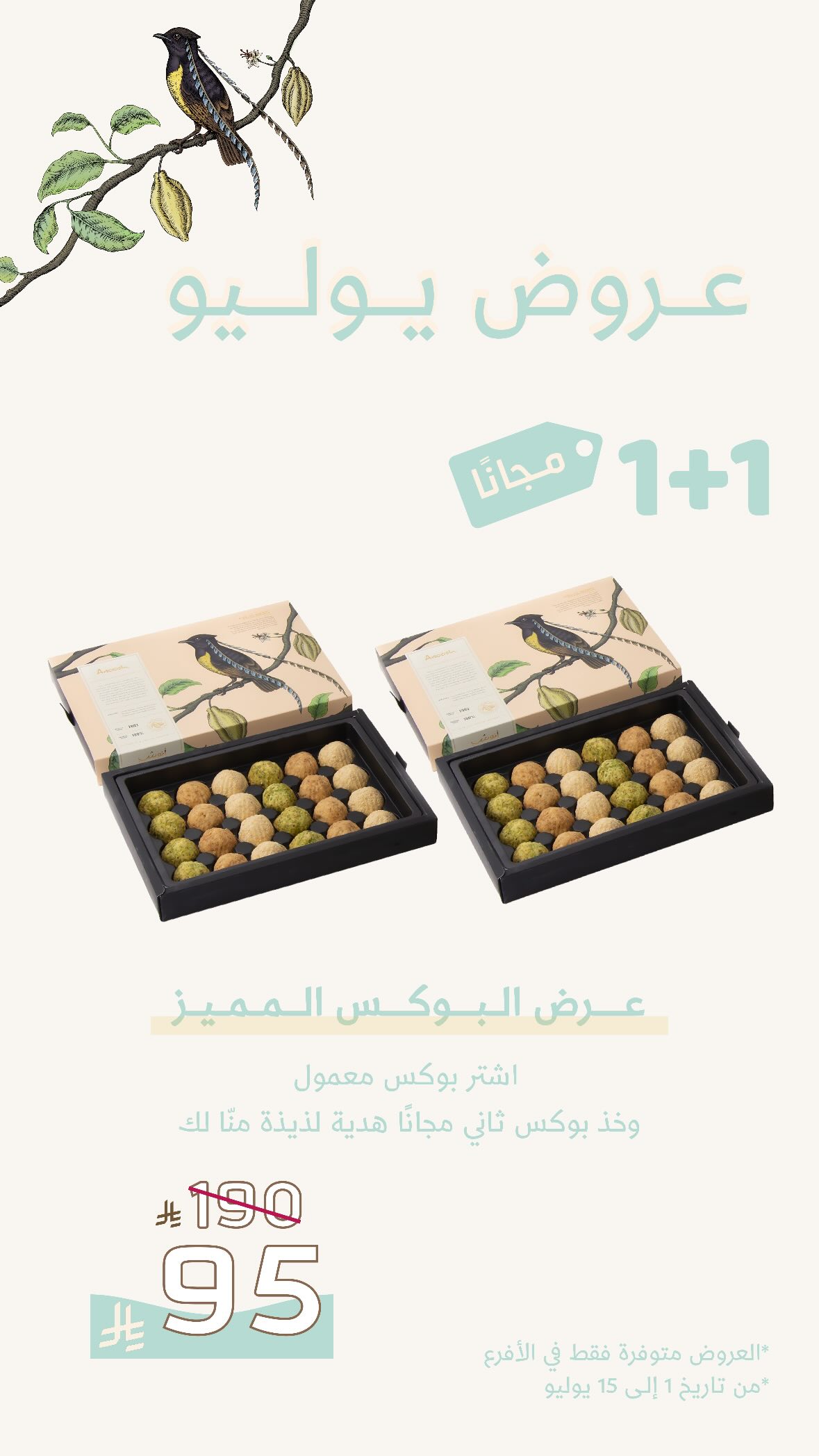 عرض أنوش للحلويات عرض أنوش للحلويات