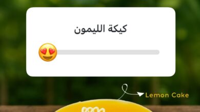 عرض آني وداني الإثنين فقط