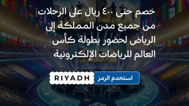 عرض فلاي إن