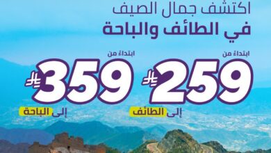 عرض طيران أديل