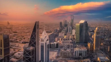 65 عامًا على تأسيس العمل الإحصائي في المملكة