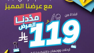عرض طيران أديل