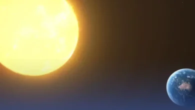 مواليد فصل الصيف أكثر عُرضة للاكتئاب