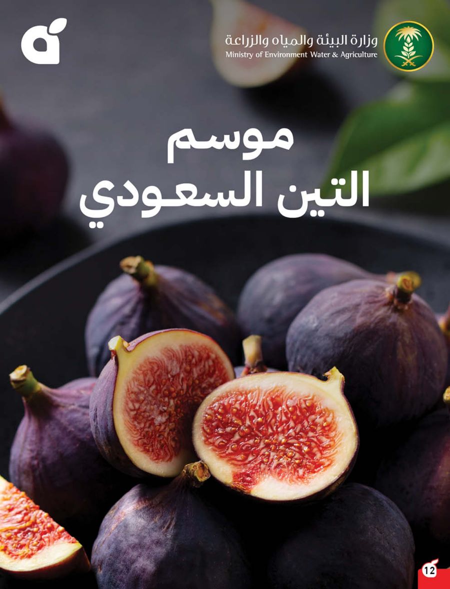 عروض أسواق بندة الأسبوعية