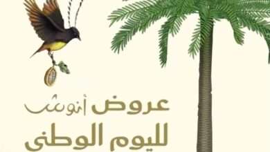 عروض اليوم الوطني من أنوش