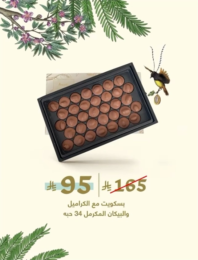 عروض اليوم الوطني من أنوش