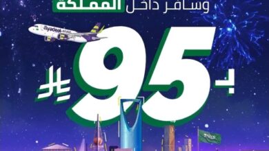 عرض اليوم الوطني من طيران اديل