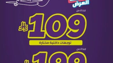 عرض طيران أديل