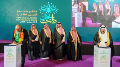 تصدير 1200 طن من تمور "نخيل اليتامى" إلى أوروبا