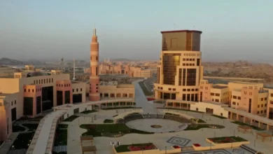 باحثون سعوديون يبتكرون تقنية لتنقية المياه بقشور التين