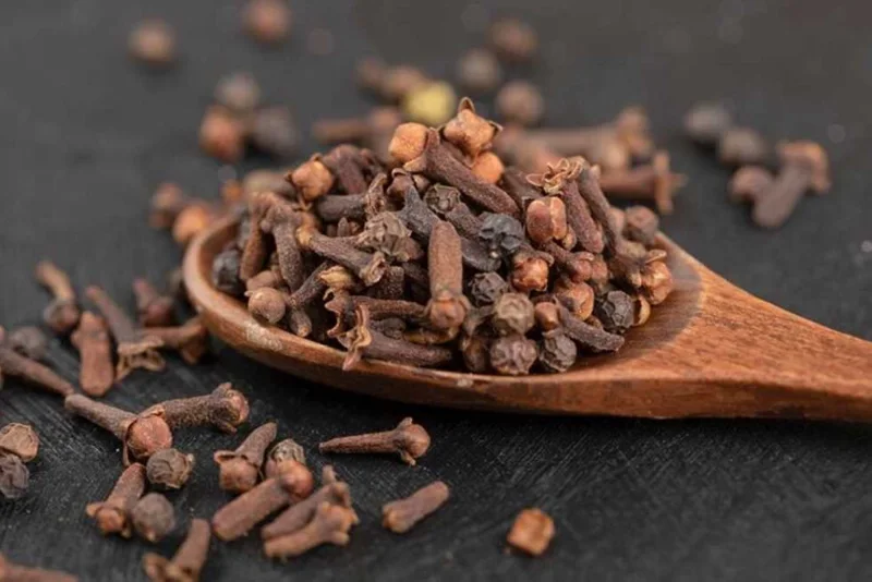 القرنفل.. صيدلية طبيعية في منزلك