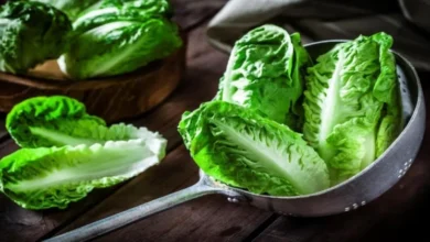 دراسة تحذر: البلاستيك يتسلّل للخضراوات التي نتناولها