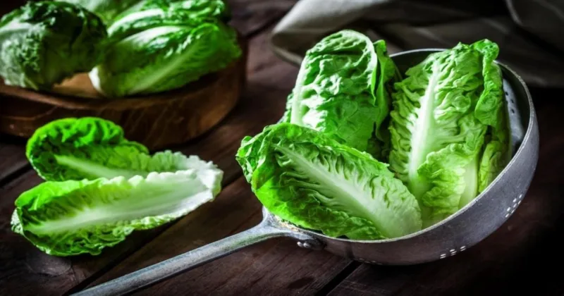 دراسة تحذر: البلاستيك يتسلّل للخضراوات التي نتناولها