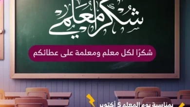 عرض توري لاند الأحد فقط