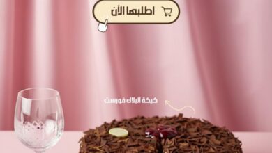 عرض آني وداني الإثنين فقط