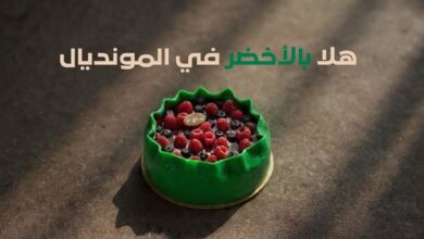 عرض ديار بيكري
