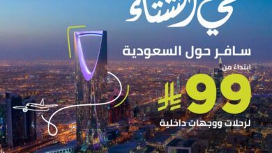 عرض طيران أديل عرض طيران أديل