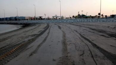 "تطوير الشرقية": أي إفادات غير رسمية بشأن الأراضي لا يعتد بها "تطوير الشرقية": أي إفادات غير رسمية بشأن الأراضي لا يعتد بها