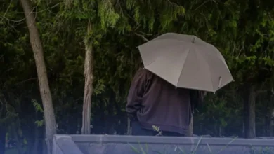 أمطار الخير تتواصل حتى نهاية الأسبوع المقبل أمطار الخير تتواصل حتى نهاية الأسبوع المقبل